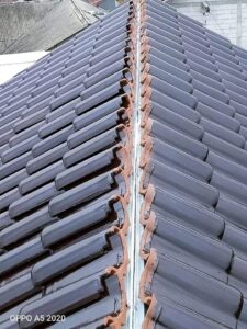 WhatsApp Image 2024-05-04 at 01.46.33